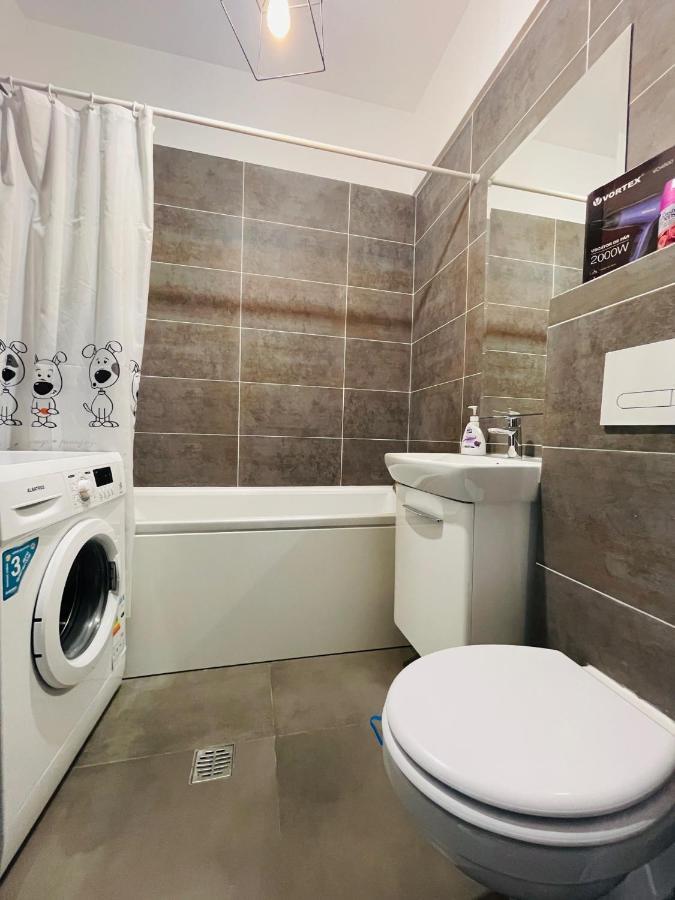 Family Apartment Near Palas Mall Ясси Екстер'єр фото